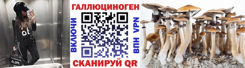 Псилоцибиновые грибы MAGIC MUSHROOMS  Богданович 